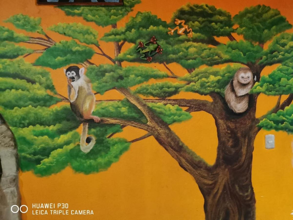 Costa Linda Art Hostel Manuel Antonio Luaran gambar