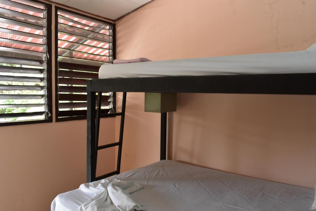 Costa Linda Art Hostel Manuel Antonio Luaran gambar